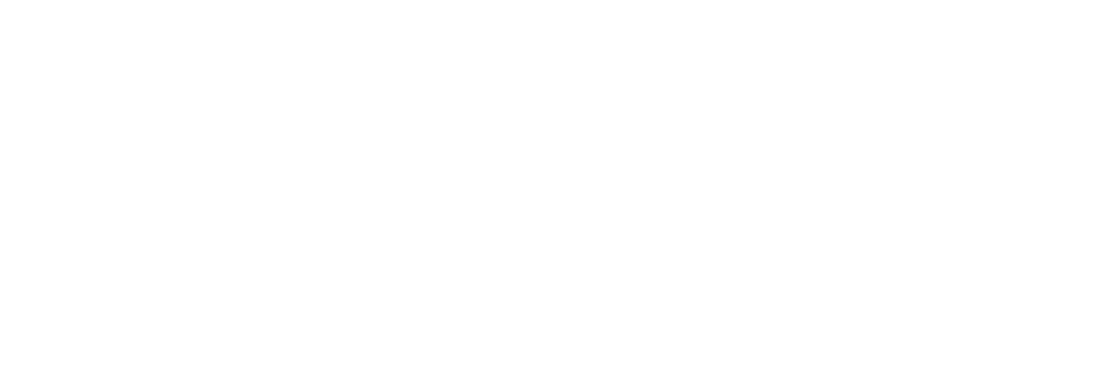 Seagull Jobs Logo